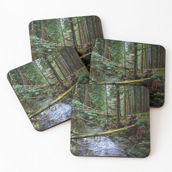 Item preview, After the Storm designed and sold by Steve Walser.