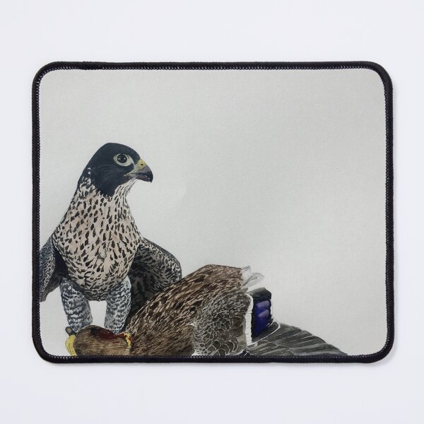Item preview, Peregrine with Duck designed and sold by mcneffstudio.