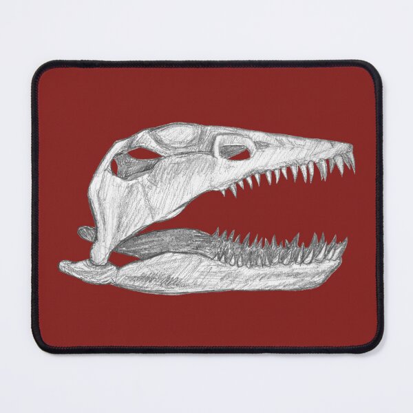 Item preview, Plesiosaur skull designed and sold by DoodleSnake58.