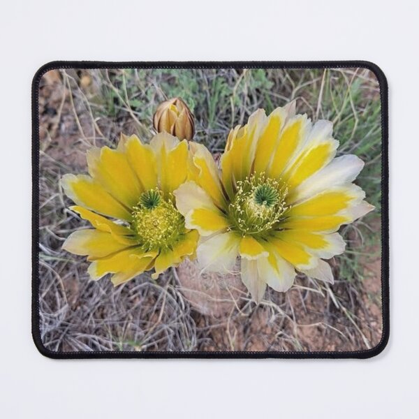Item preview, Desert Blooms designed and sold by trailsitravel.