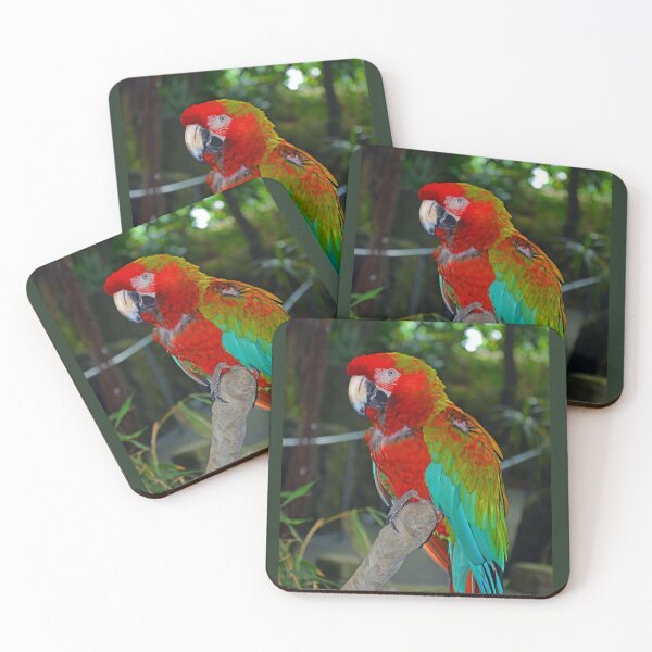 Item preview, Vibrant Parrot on Perch designed and sold by Savannah Gibbs.