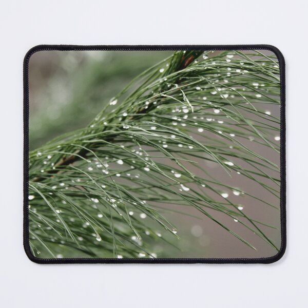 Item preview, Dewy Pine Branch designed and sold by Daniel Safer Photography.
