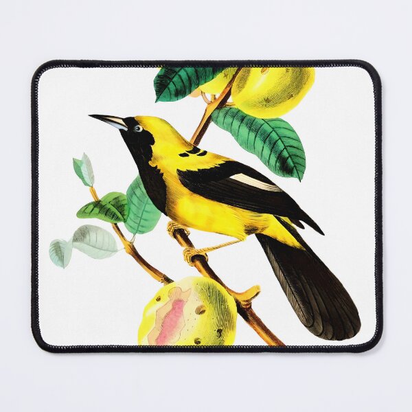 Item preview, Bird painting botanical illustration designed and sold by Art-Chemistry.