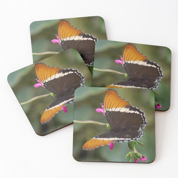 Item preview, Brown siproeta designed and sold by Jouko Lehto Photography.