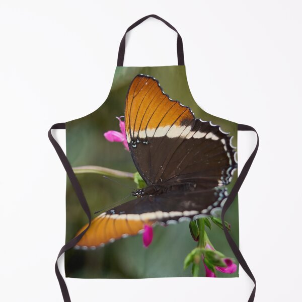 Item preview, Brown siproeta designed and sold by Jouko Lehto Photography.