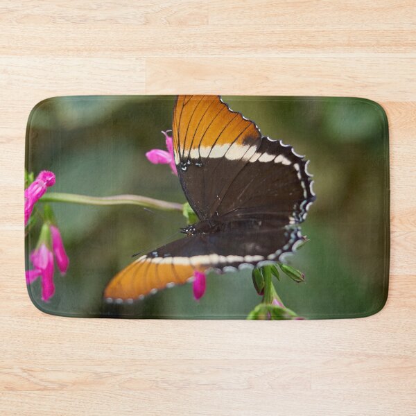 Item preview, Brown siproeta designed and sold by Jouko Lehto Photography.