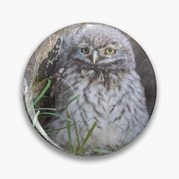 Item preview, little owlet designed and sold by tammy mellor.