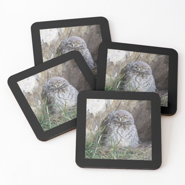 Item preview, little owlet designed and sold by tammy mellor.