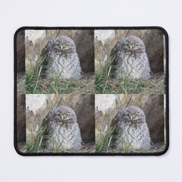Item preview, little owlet designed and sold by tammy mellor.