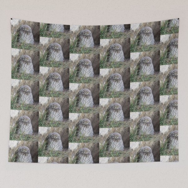 Item preview, little owlet designed and sold by tammy mellor.