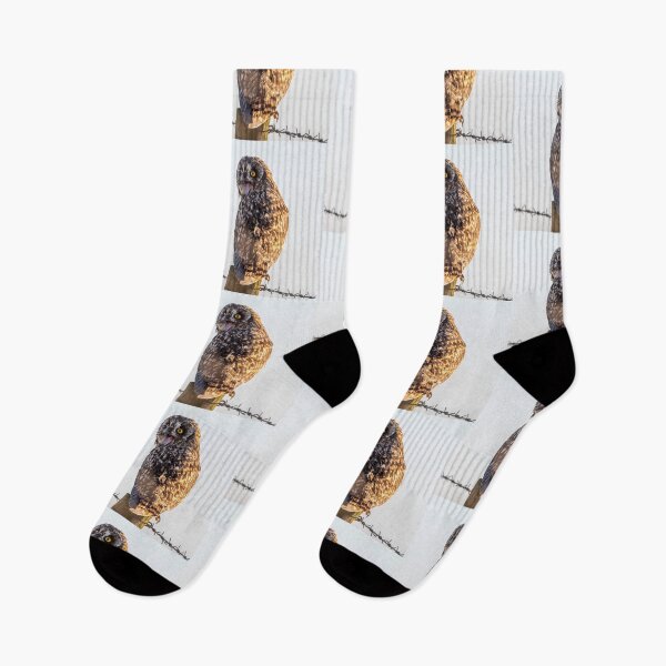 Item preview, short eared owl designed and sold by tammy mellor.
