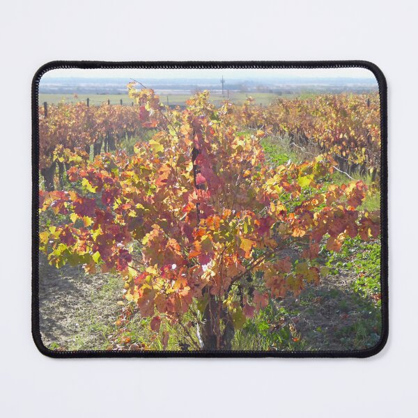 Item preview, Autumn colours designed and sold by Paul Pasco.
