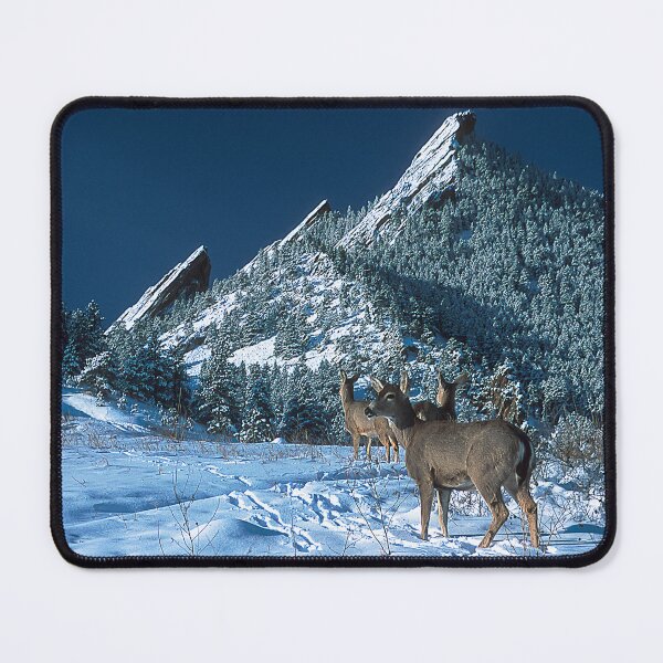 Item preview, Deer Herd At The Flatirons  designed and sold by Gregory J Summers.