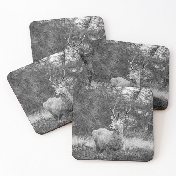 Item preview, Stag in Nature - Black and White designed and sold by Karen Dore Art & Photography.