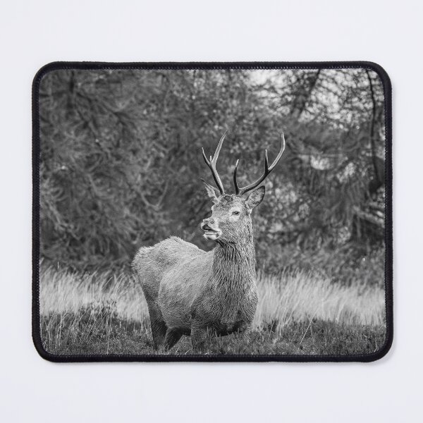 Item preview, Stag in Nature - Black and White designed and sold by Karen Dore Art & Photography.