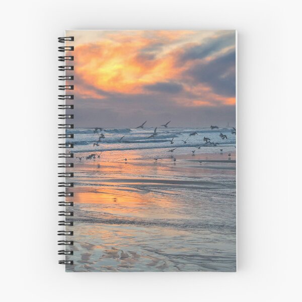 Item preview, Seabirds at sunrise on the Northumberland coast - Panorama designed and sold by Violaman.