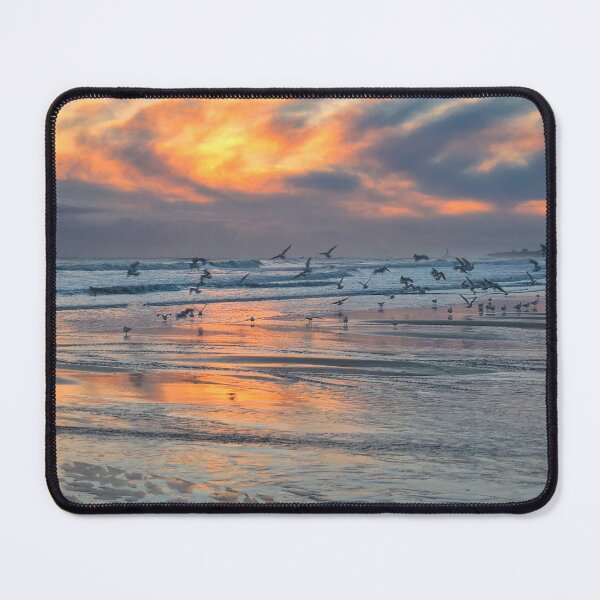Item preview, Seabirds at sunrise on the Northumberland coast - Panorama designed and sold by Violaman.