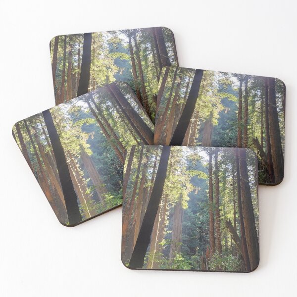 Item preview, Sunlit Redwood Grove – California Forest Photography | Peaceful Woodland Light designed and sold by tracerammo1.