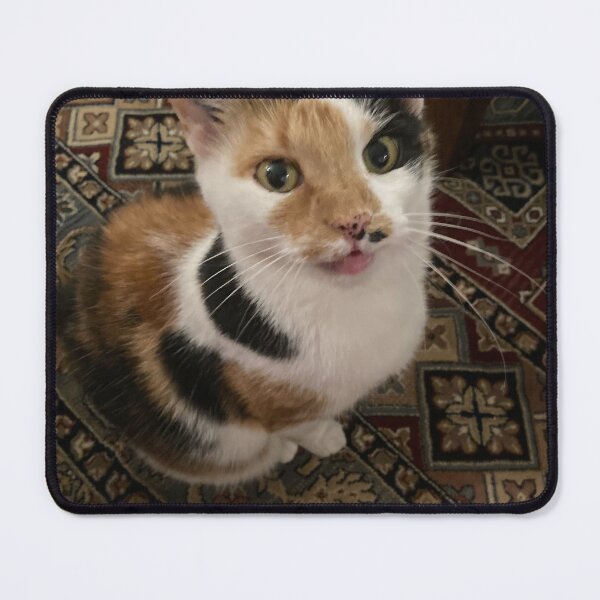 Item preview, The Trixie stare! designed and sold by Marilyn Grimble.