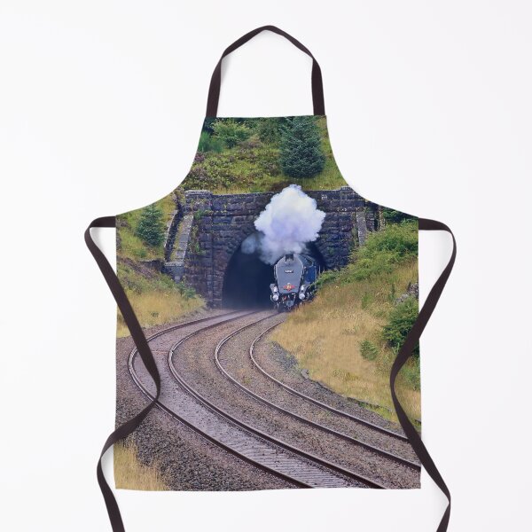 Item preview, 60007 Sir Nigel Gresley-  Blea Moor Tunnel - 1 designed and sold by Colin  Williams Photography.