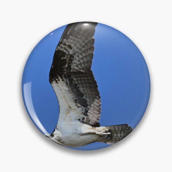 Item preview, Osprey in flight  designed and sold by Glennphotos.