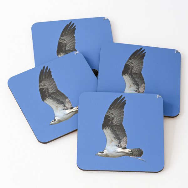 Item preview, Osprey in flight  designed and sold by Glennphotos.
