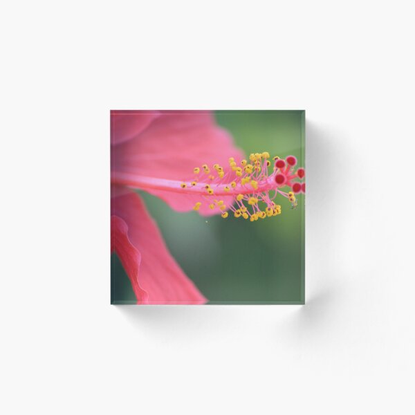 Item preview, SOFT PINK PETAL DREAMS designed and sold by Rbl20.