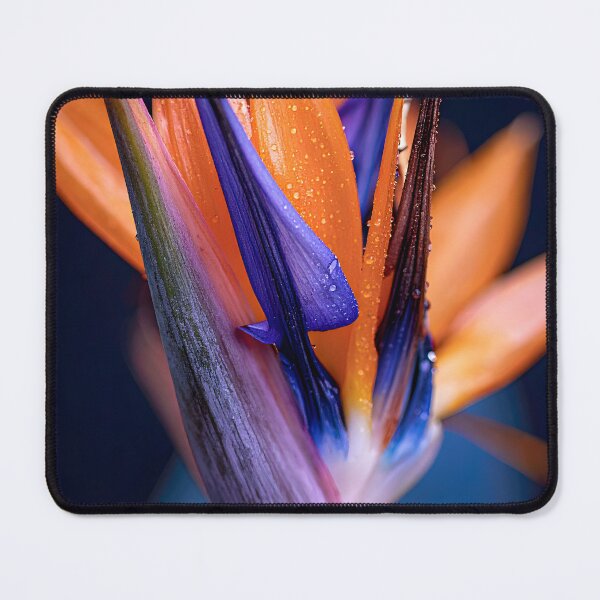 Item preview, Bird of Paradise Macro – Vibrant Tropical Flower Art designed and sold by miletes17Studio.