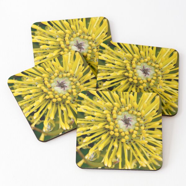 Item preview, Spring Shower designed and sold by Siene Browne.