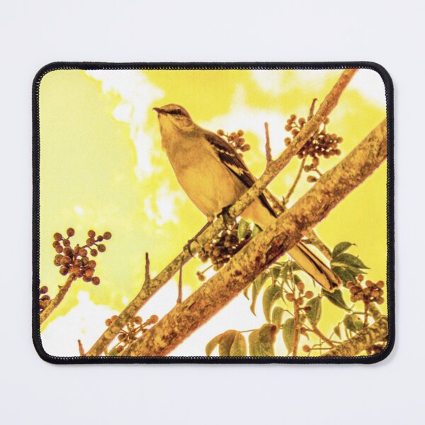 Item preview, Bird in a tree for a beautiful sunset designed and sold by The Artsy Lens of Lisa O..