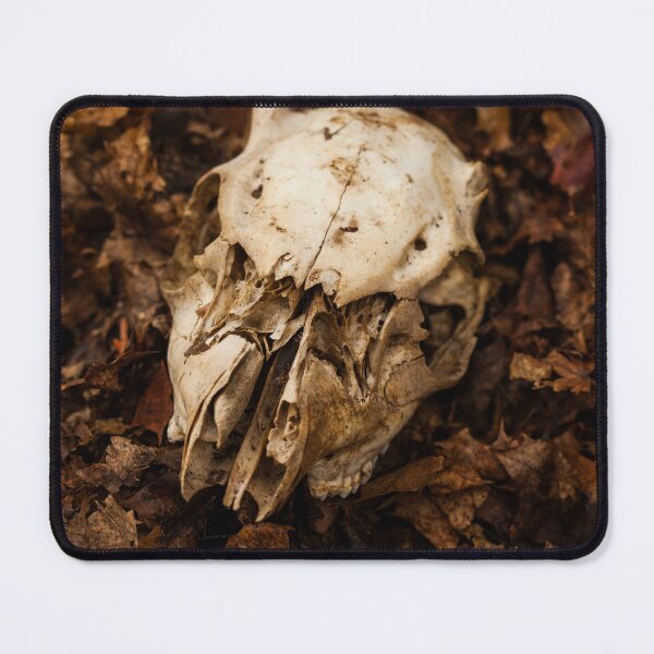 Item preview, Animal Skull Among Fallen Leaves designed and sold by jklune.