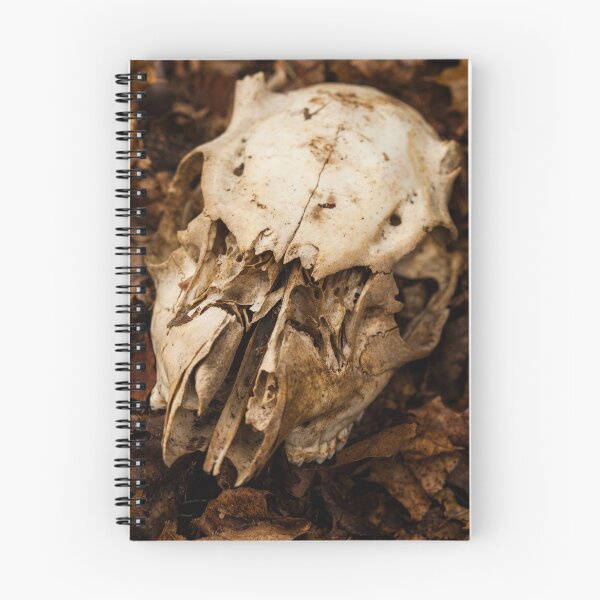 Item preview, Animal Skull Among Fallen Leaves designed and sold by jklune.
