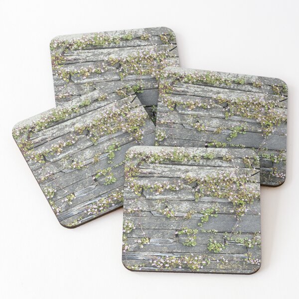 Item preview, wallflower designed and sold by Mitmischerin.