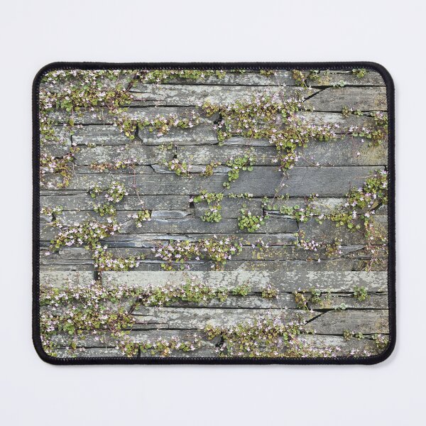 Item preview, wallflower designed and sold by Mitmischerin.