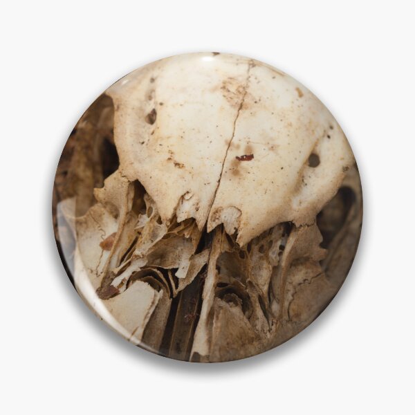 Item preview, Deer Skull Amidst Fallen Leaves designed and sold by jklune.