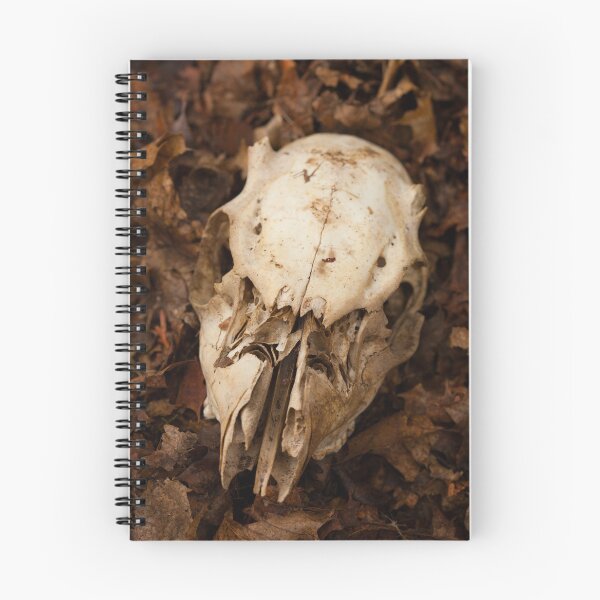 Item preview, Deer Skull Amidst Fallen Leaves designed and sold by jklune.