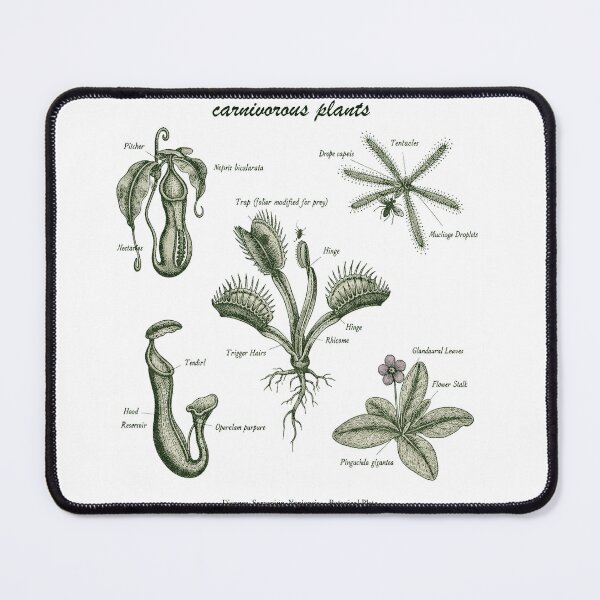 Item preview, Carnivorous plants designed and sold by EnR-designs.