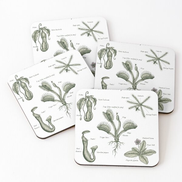 Item preview, Carnivorous plants designed and sold by EnR-designs.