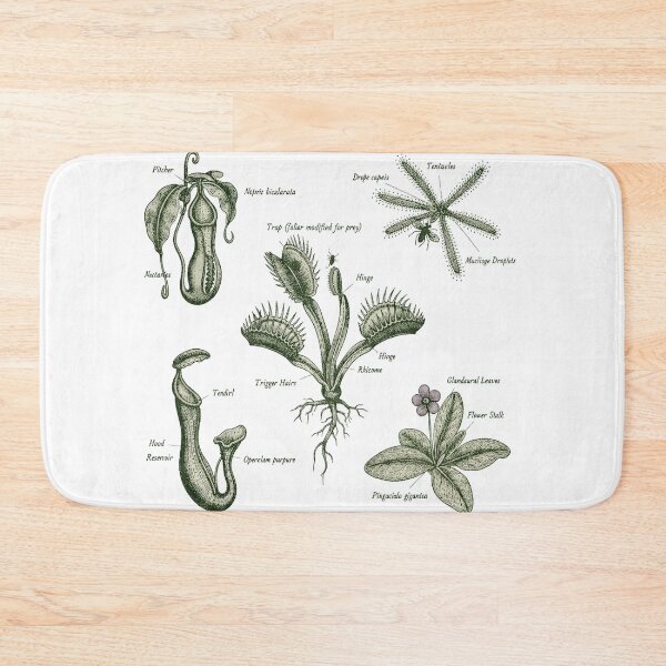 Item preview, Carnivorous plants designed and sold by EnR-designs.