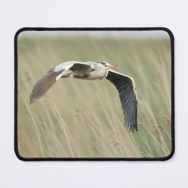 Item preview, Grey Heron, Lough Derg, Ireland designed and sold by ollygriffin.
