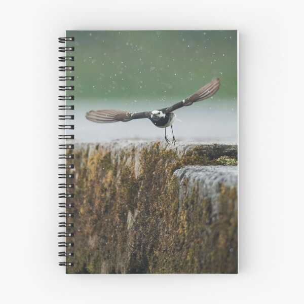 Item preview, Wagtail, Lough Derg, Ireland  designed and sold by ollygriffin.
