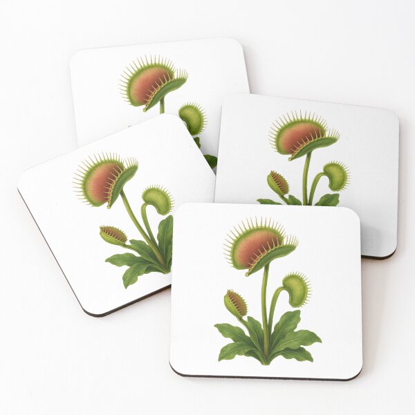 Item preview, Venus Flytrap designed and sold by EnR-designs.