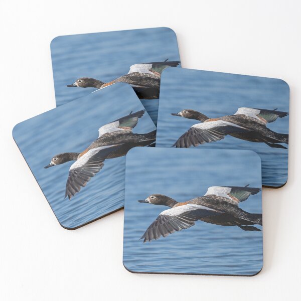 Item preview, The Australian Shelduck in Action designed and sold by Jan Fijolek.