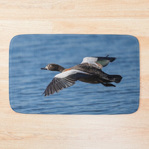 Item preview, The Australian Shelduck in Action designed and sold by Jan Fijolek.