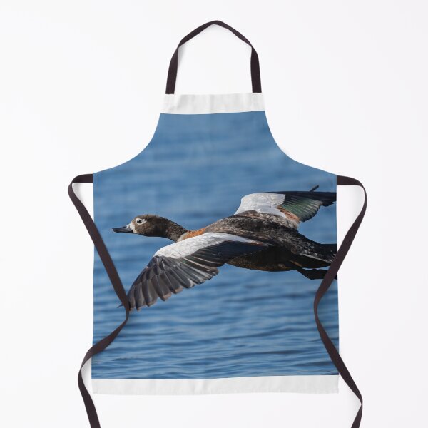 Item preview, The Australian Shelduck in Action designed and sold by Jan Fijolek.