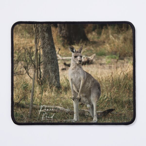 Item preview, Kangaroo designed and sold by RREID84.