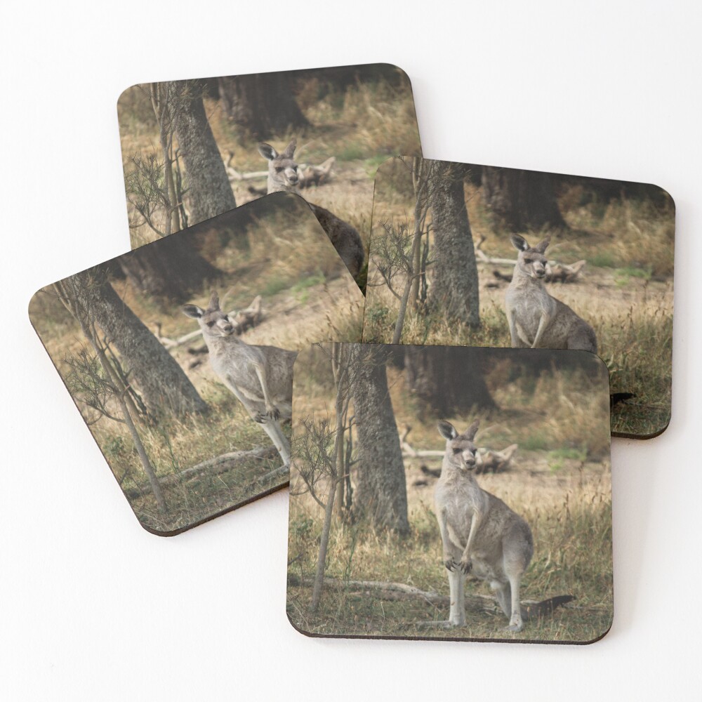 Item preview, Coasters (Set of 4) designed and sold by RREID84.