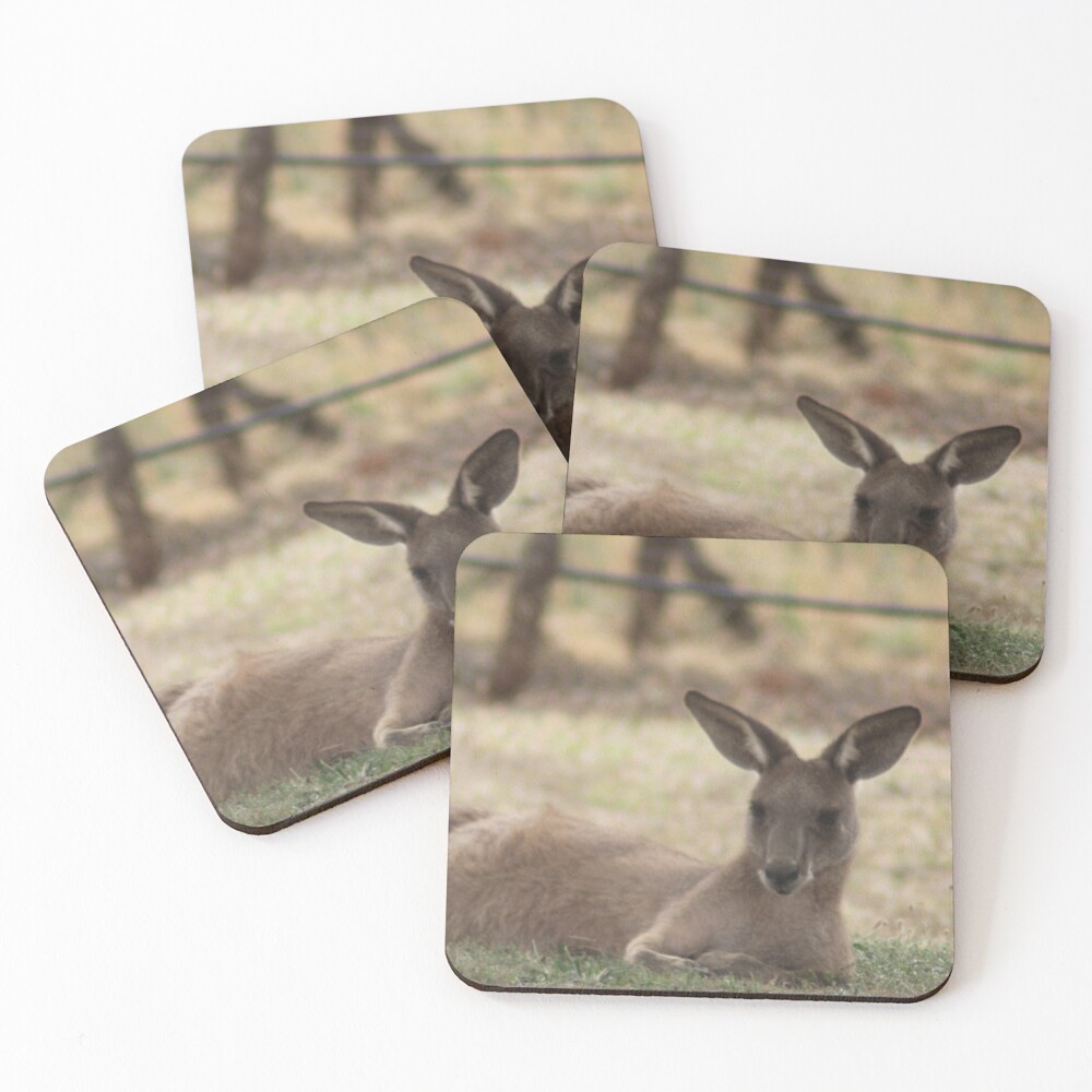 Item preview, Coasters (Set of 4) designed and sold by RREID84.