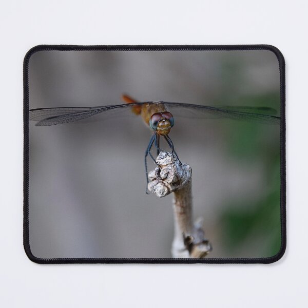 Item preview, Wings of Silence designed and sold by WrightDesignsUS.