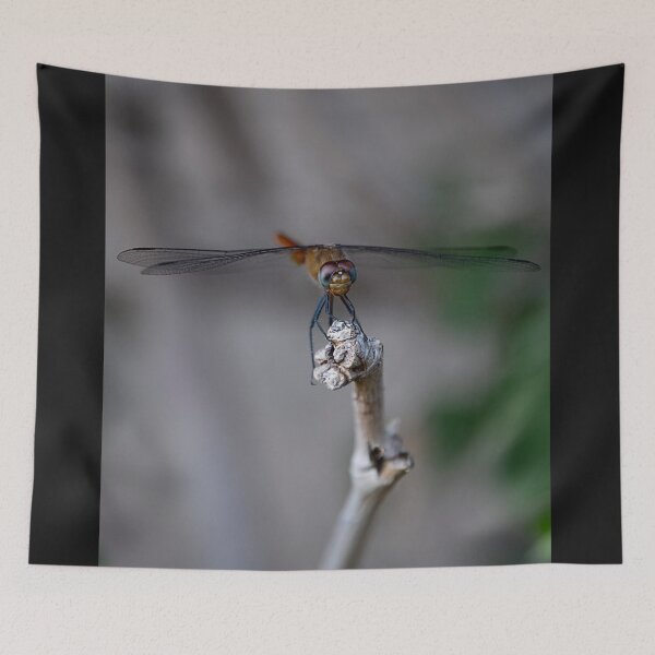 Item preview, Wings of Silence designed and sold by WrightDesignsUS.